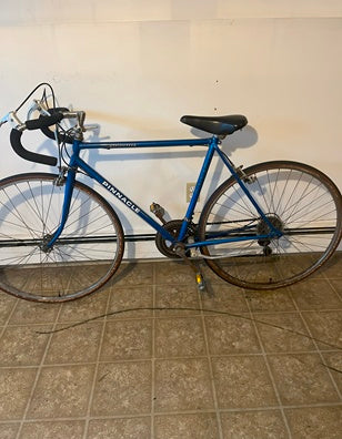 Pinnacle 12 Speed Bicycle - USED - Local Pick- Up