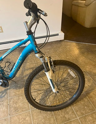 Schwinn Ranger Girl’s Mountain Bike - USED - Local Pick- Up