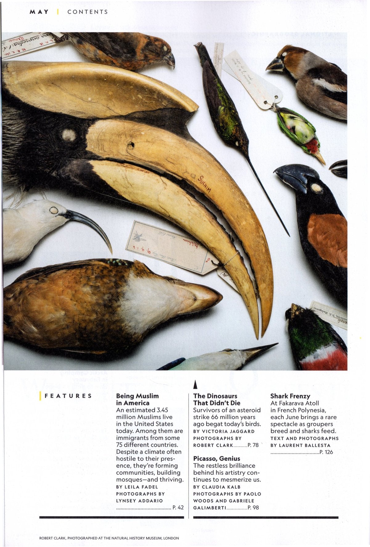 Picasso - National Geographic Magazine - May, 2018